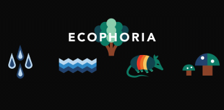 Euphoria Festival 2017 - Ecophoria