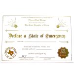 Almost Real Things I Declare A State Of Emergency Postcard Certificate